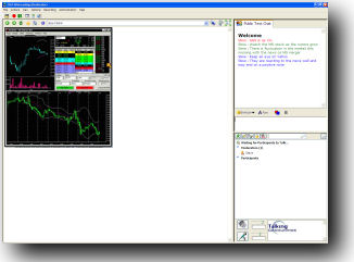 Day trader orgainzation using web conferencing to display live stock stats and provide stock market advice and training